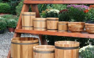 Деревянная кадка: как выбрать и использовать в хозяйстве