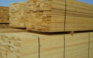 Сколько весит древесина разных пород