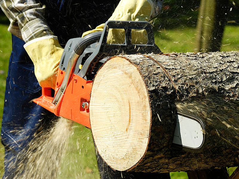 техника безопасности при распиле древесины
